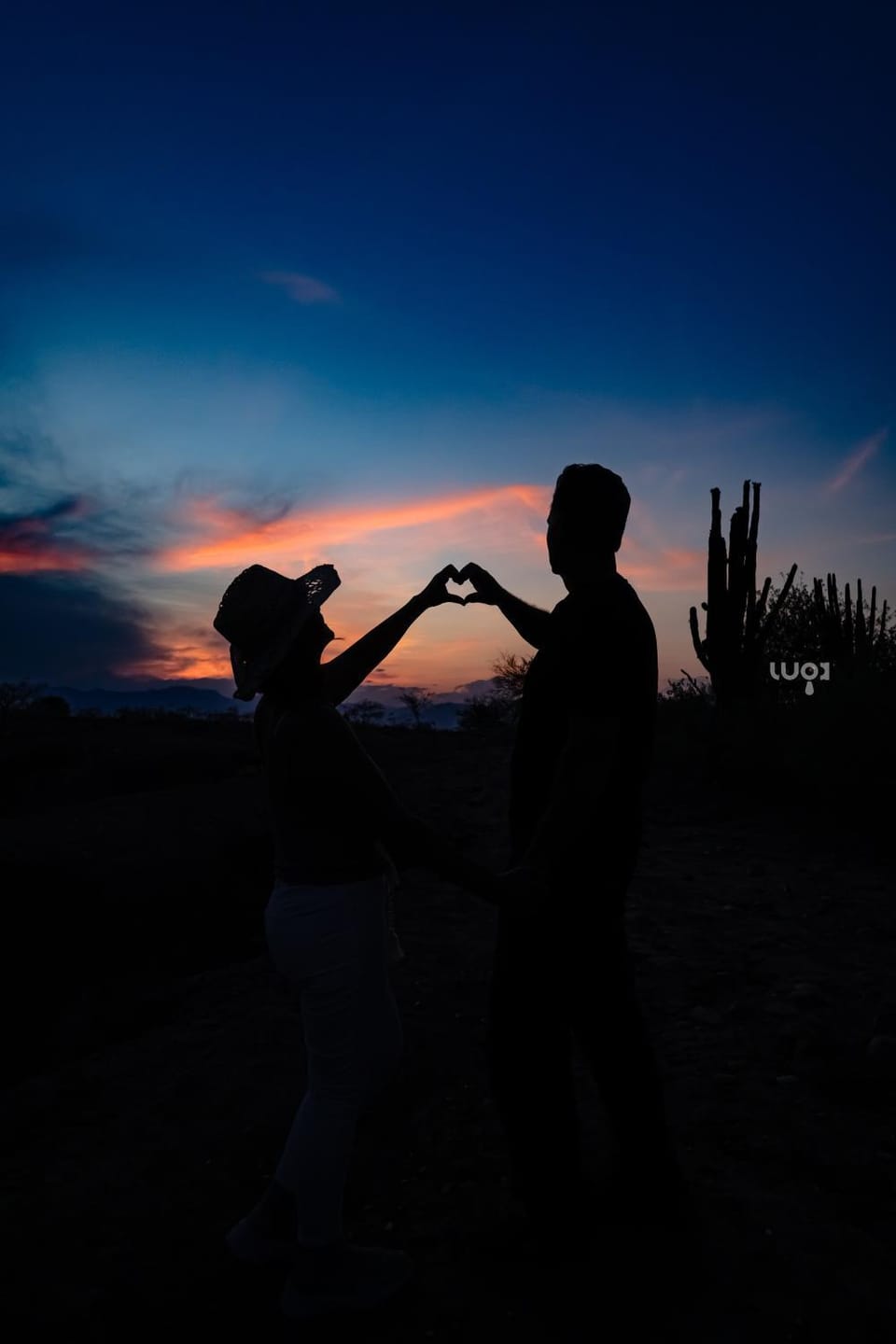 People, Guests, Sunset