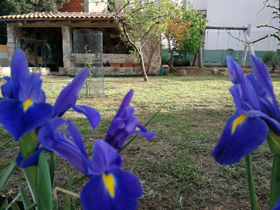 Children play ground, Garden