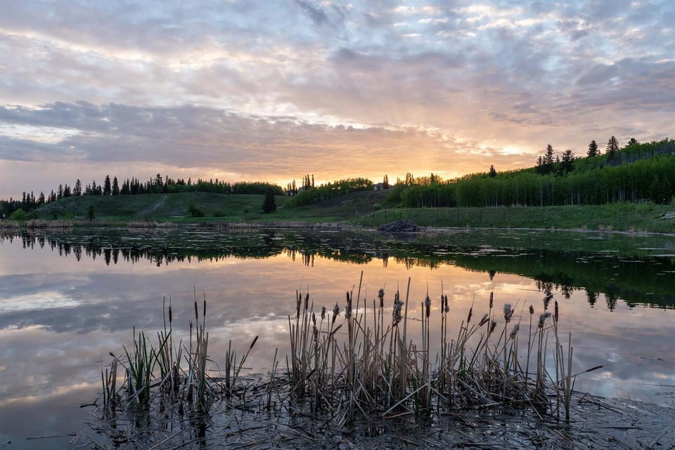 Basement Suite in Calgary - Short Drive to Banff House in Calgary