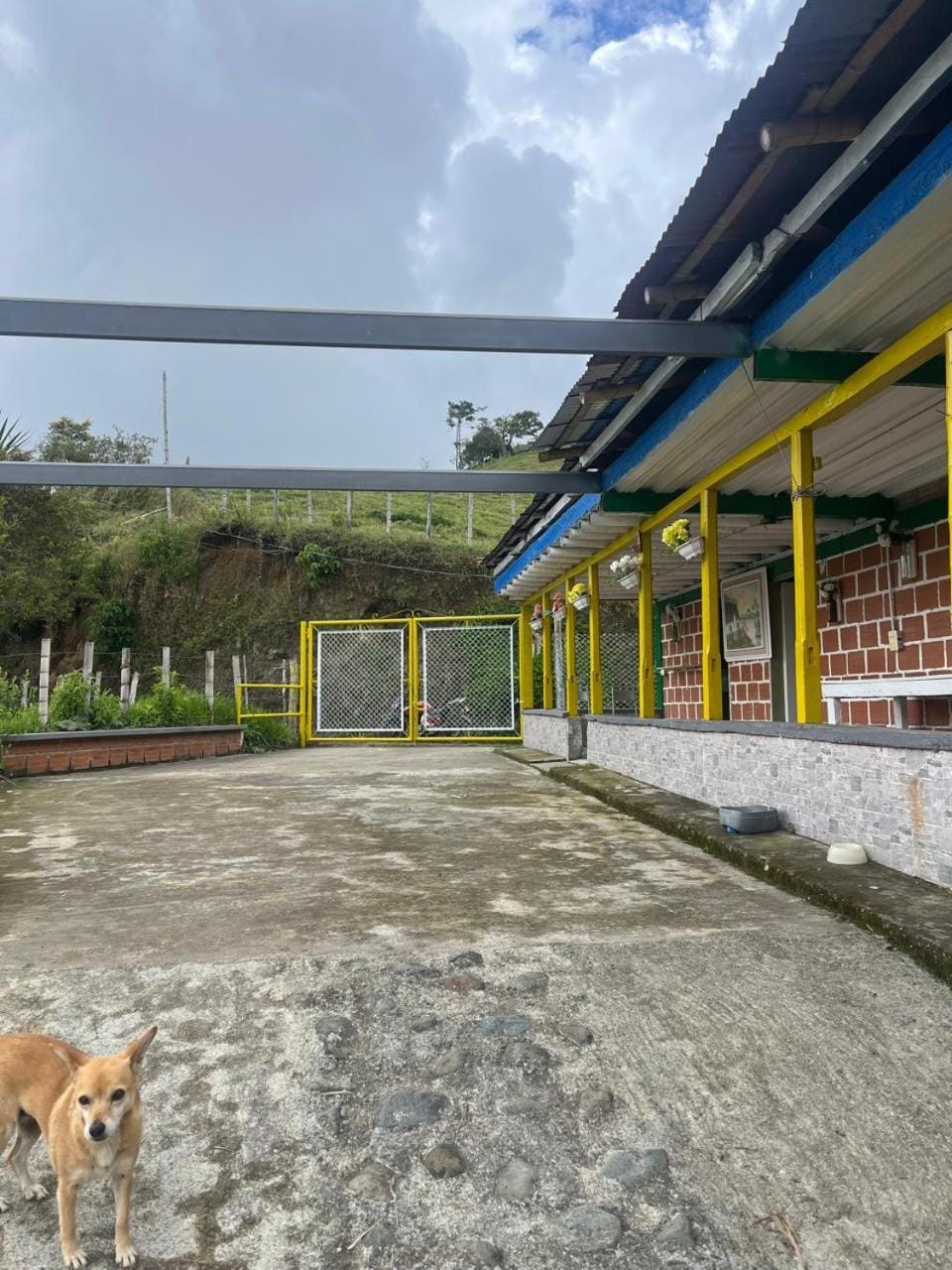 Coffee Tour, Colombia Aranzazu Caldas- Andean Motmot coffee Farm Stay in Risaralda