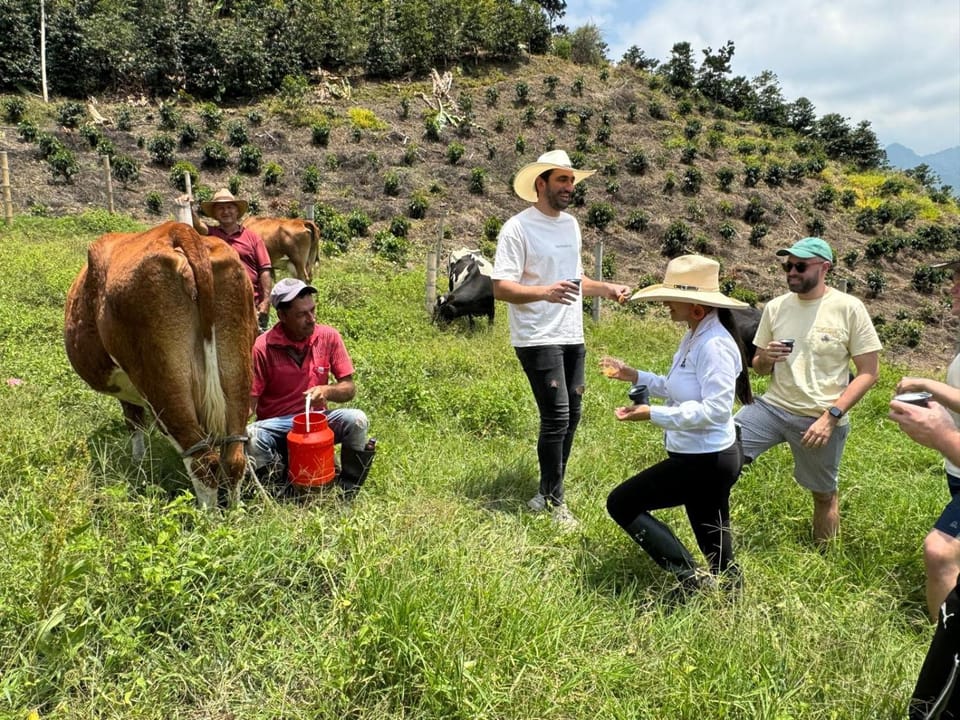 Coffee Tour, Colombia Aranzazu Caldas- Andean Motmot coffee Farm Stay in Risaralda