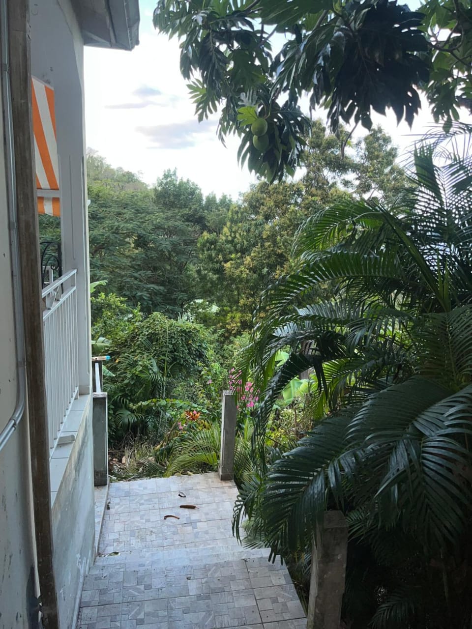 Garden view