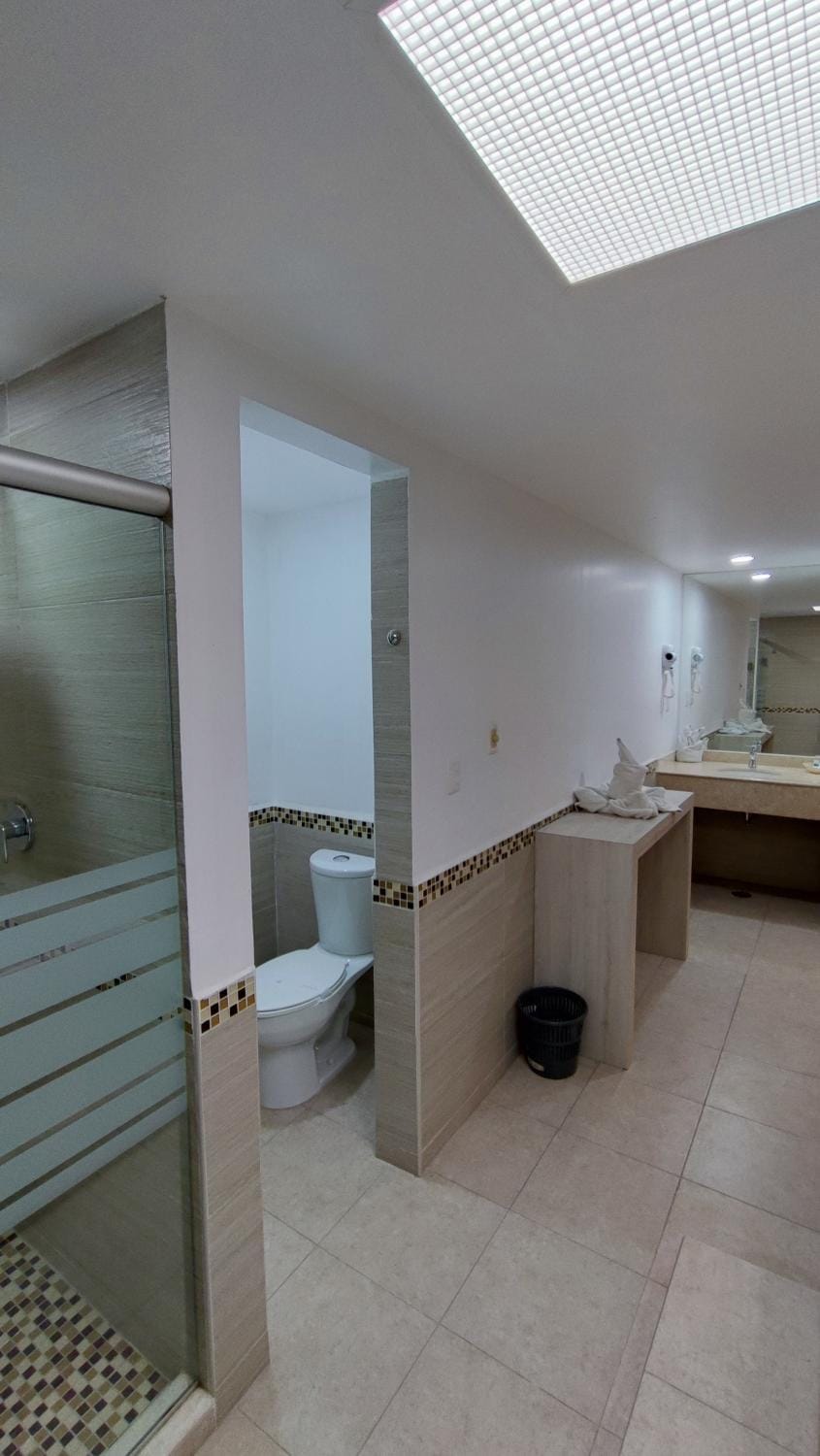 Shower, Toilet, Bathroom, hair dryier, dryer