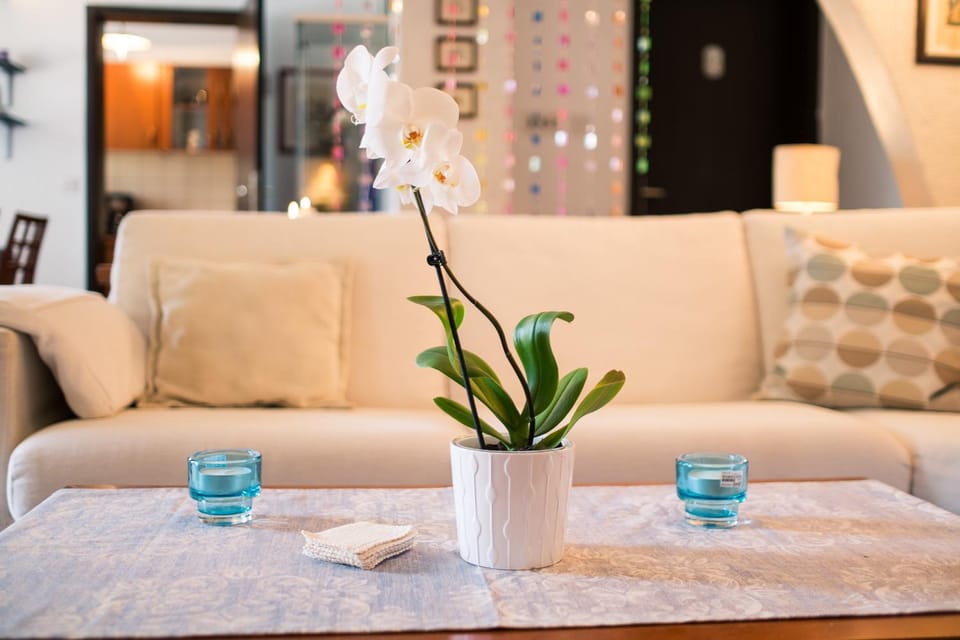 Living room, Decorative detail