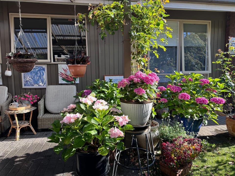 Patio, Garden, Garden