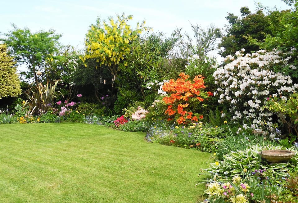 Property building, Natural landscape, Garden
