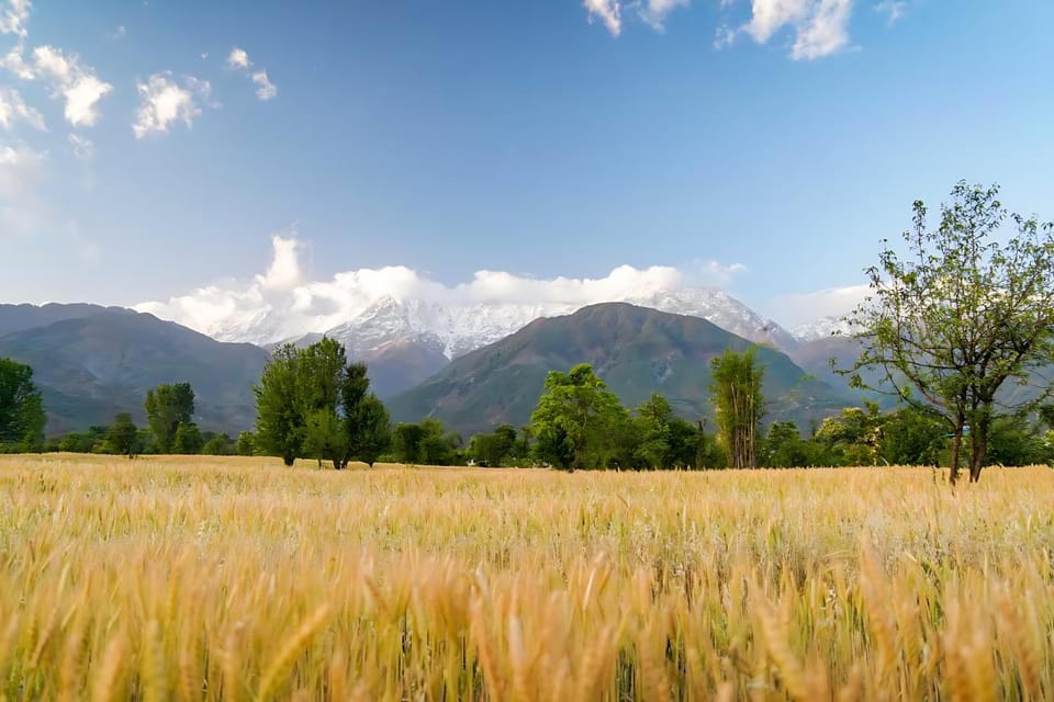 Mountain view, Mountain view, Inner courtyard view