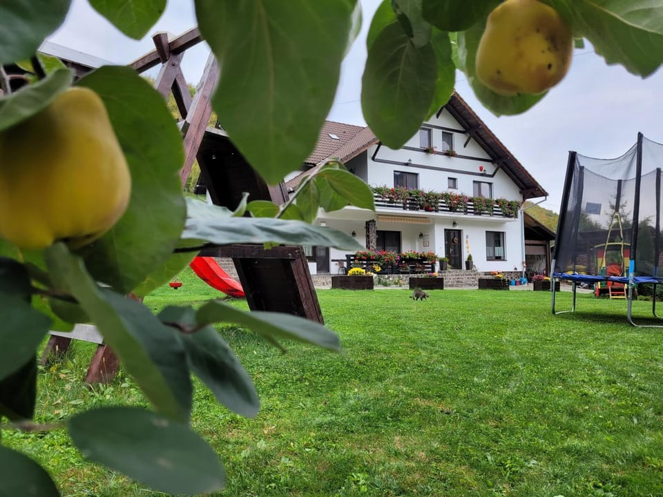 Pensiunea Casa Stefan Bed and Breakfast in Romania