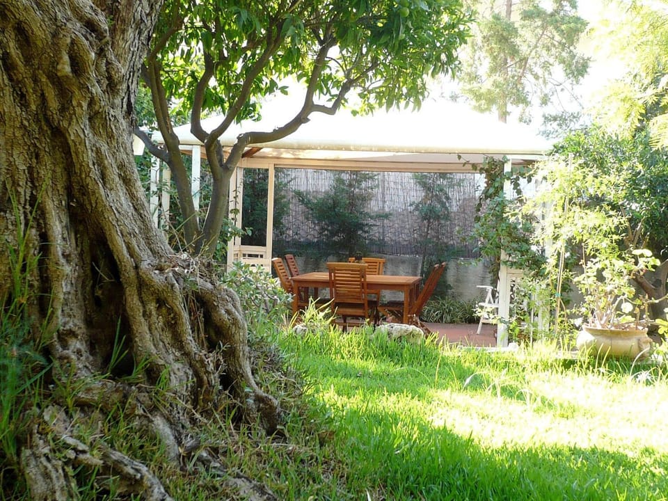 Patio, Spring, Day, Natural landscape, Garden, Dining area, Garden view
