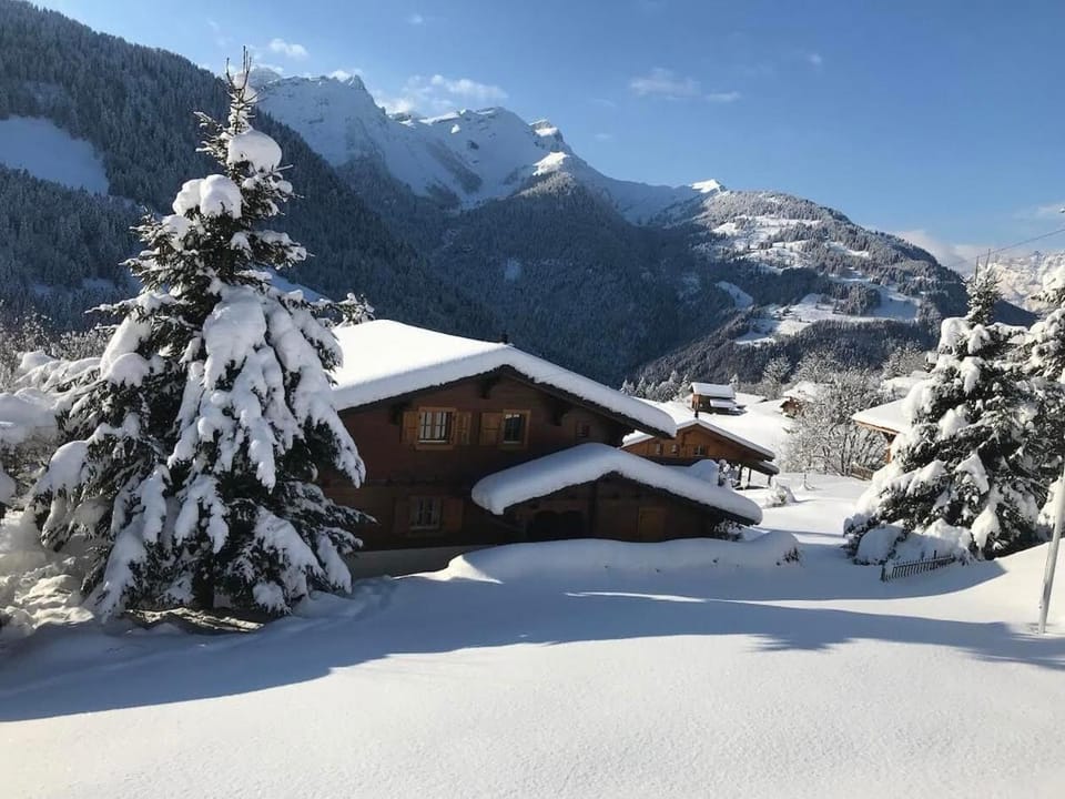 Chalet Le Ruissel - 6 personnes - confortable et bien situé Chalet in Ollon