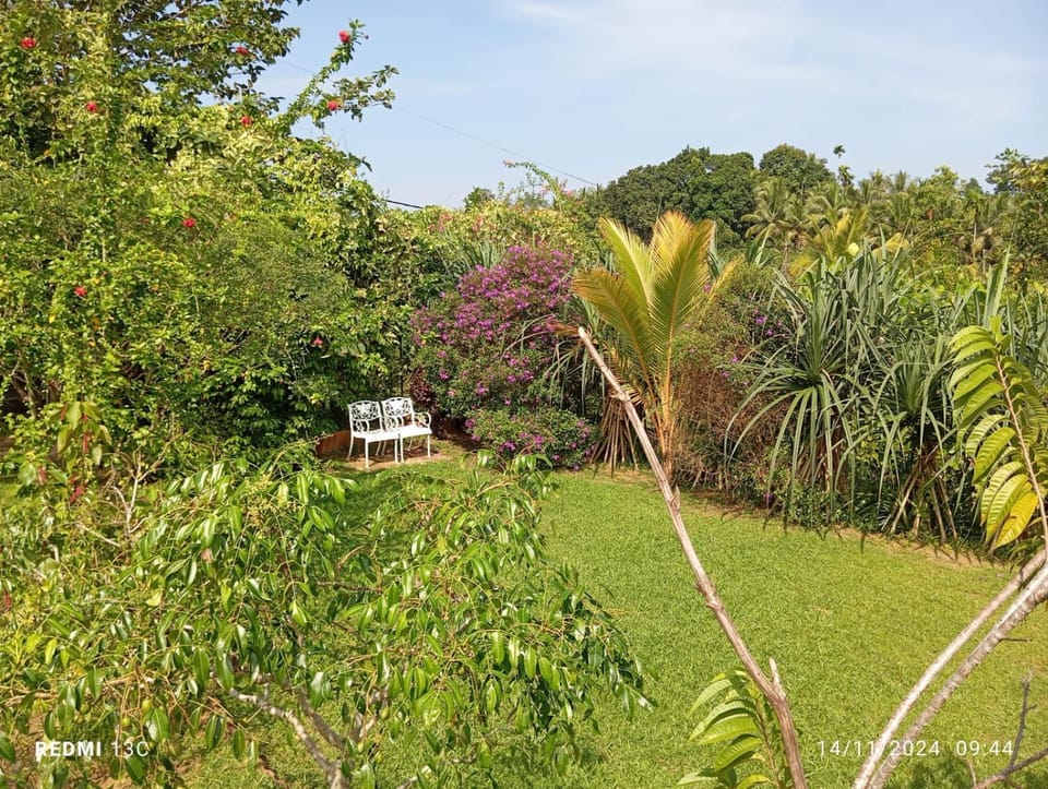 Rukgaha Thotupola Nature Villa at Bolgoda Villa in Western Province
