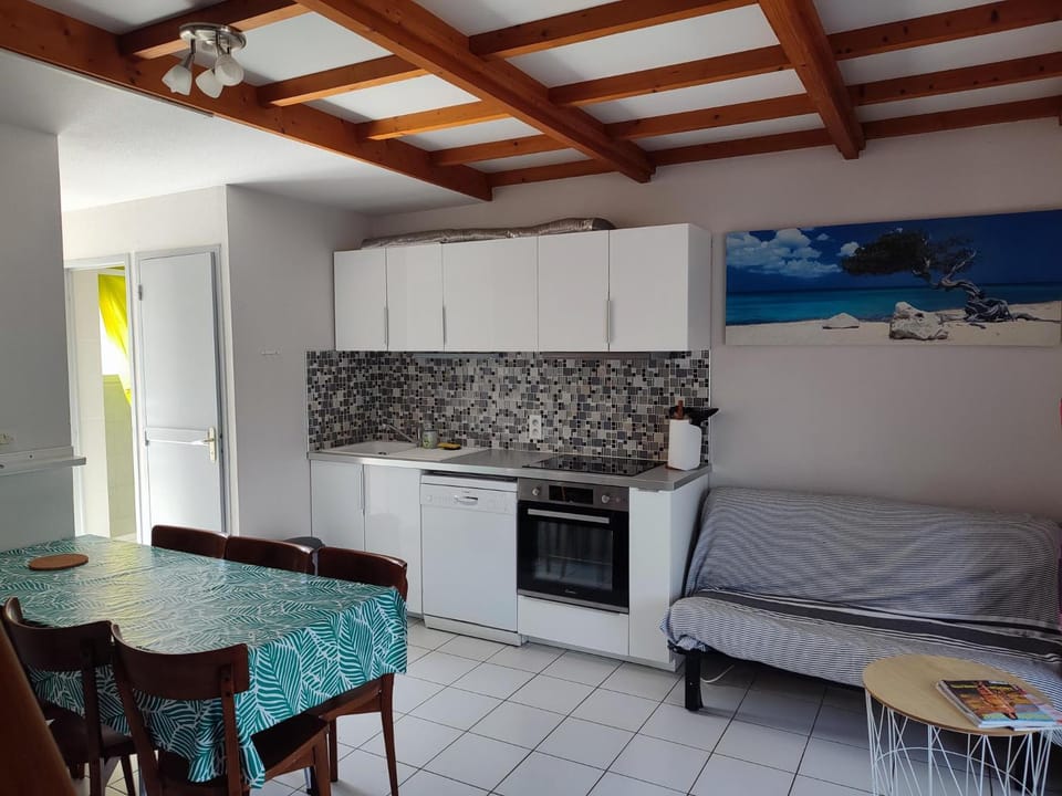 Kitchen or kitchenette, Dining area, oven, stove