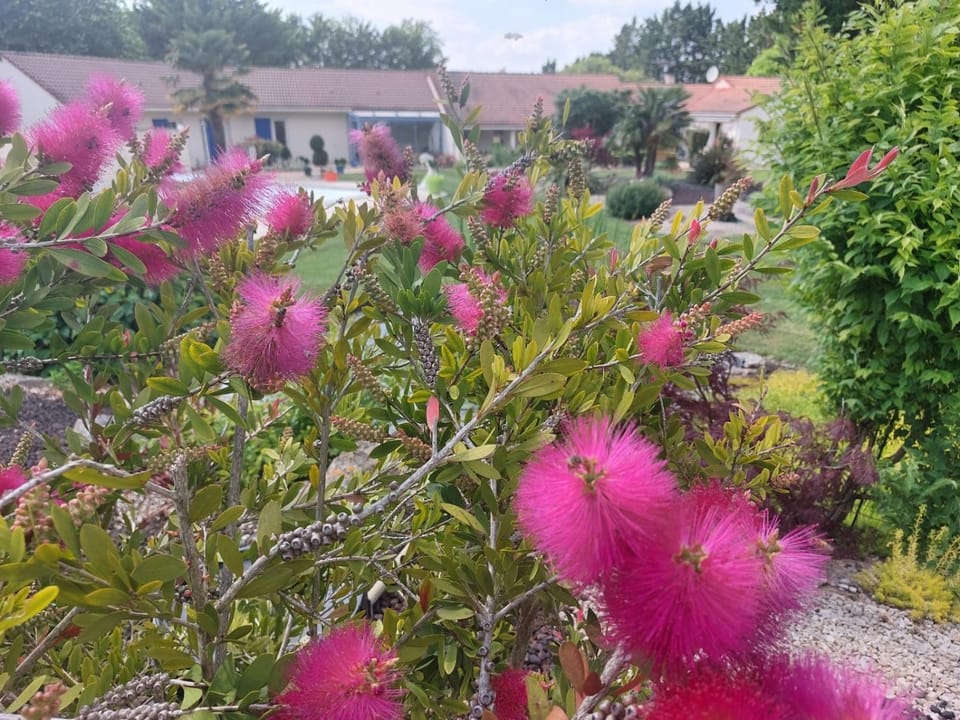 Lagalerne Bed and Breakfast in Nouvelle-Aquitaine