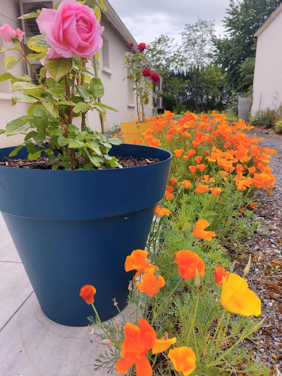 Lagalerne Bed and Breakfast in Nouvelle-Aquitaine