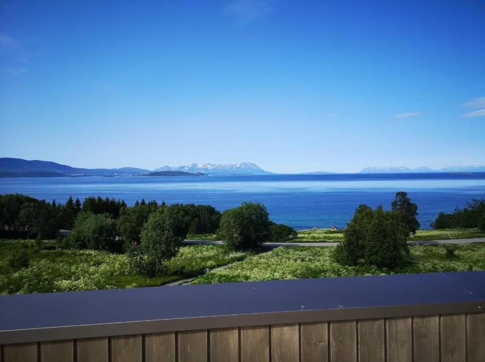 Modern house with roof terrace and sea-view Villa in Nordland, Norway