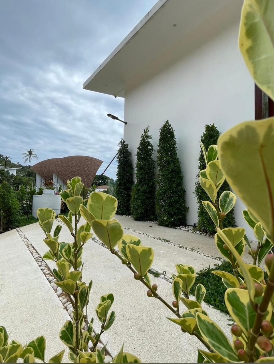 The Blue Lion Villa Samui Villa in Ko Samui