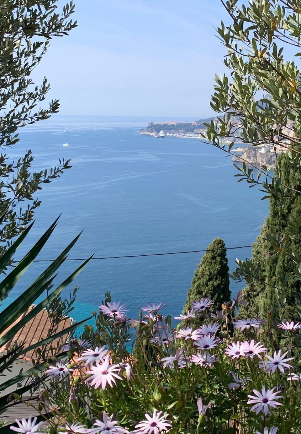 Facing Monaco, Cosy flat with parc & swimming Apartment in Roquebrune-Cap-Martin