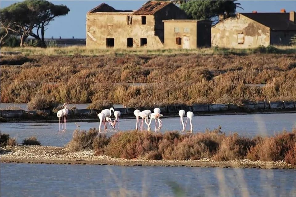 Coquet T2 rénové, proche plages et Hyères, 4 couchages Apartment in Hyères