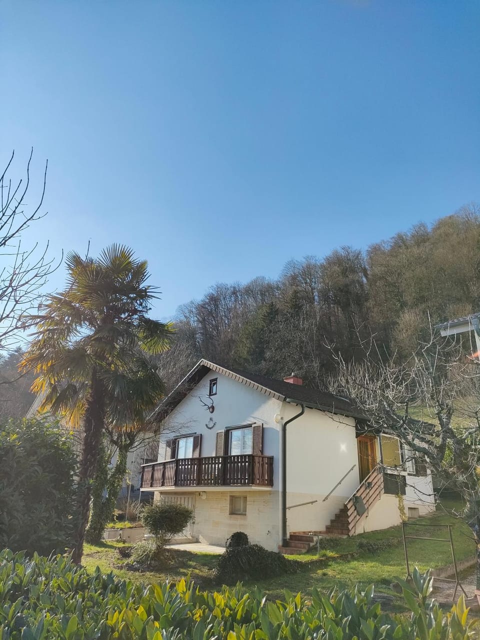 Property building, Garden view