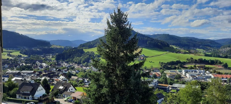 Mountain view