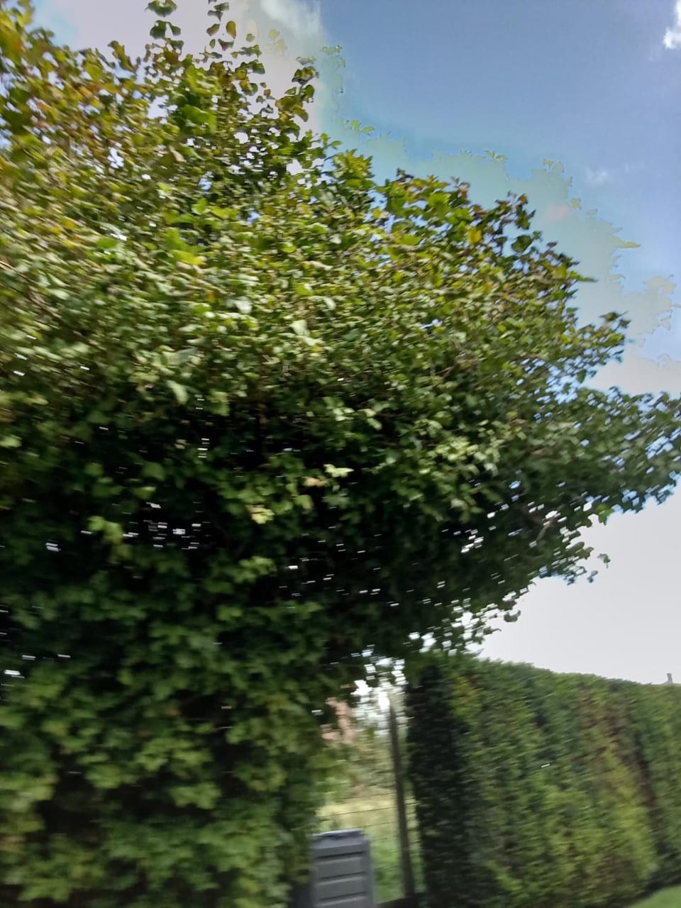 Vakantiepark Waulsort nr 9 House in Dinant