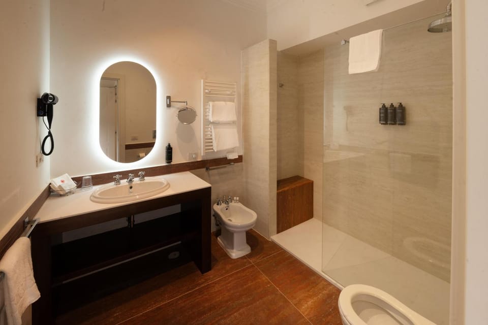 Shower, bidet, hair dryier, towels