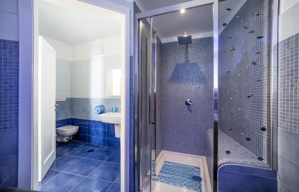 Shower, Toilet, Bathroom, bidet