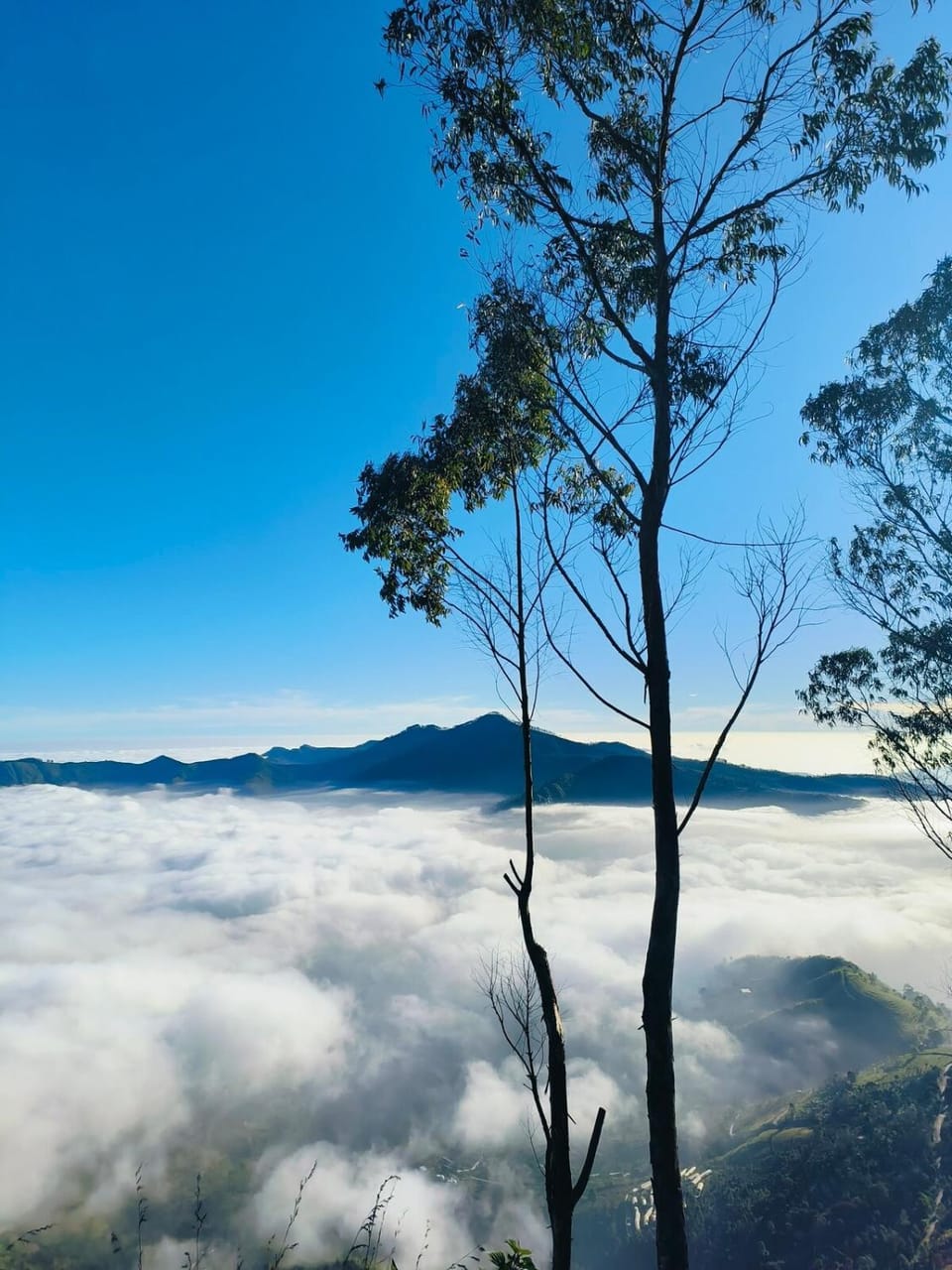 Adventure Hike Villa Villa in Kodaikanal