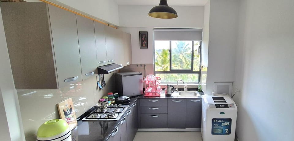 Coffee/tea facilities, Kitchen or kitchenette, minibar, stove, toaster, washing machine