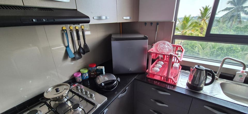 Coffee/tea facilities, Kitchen or kitchenette, minibar, stove, toaster