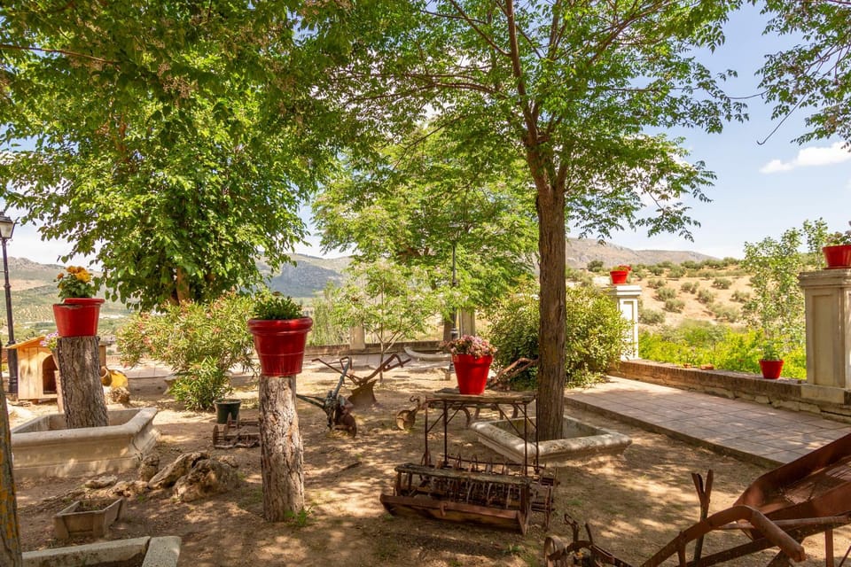 Garden, Mountain view