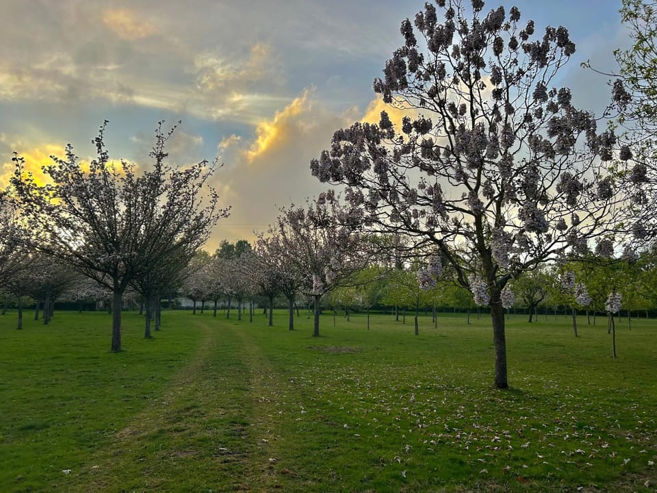 Inès Apartment in Honfleur