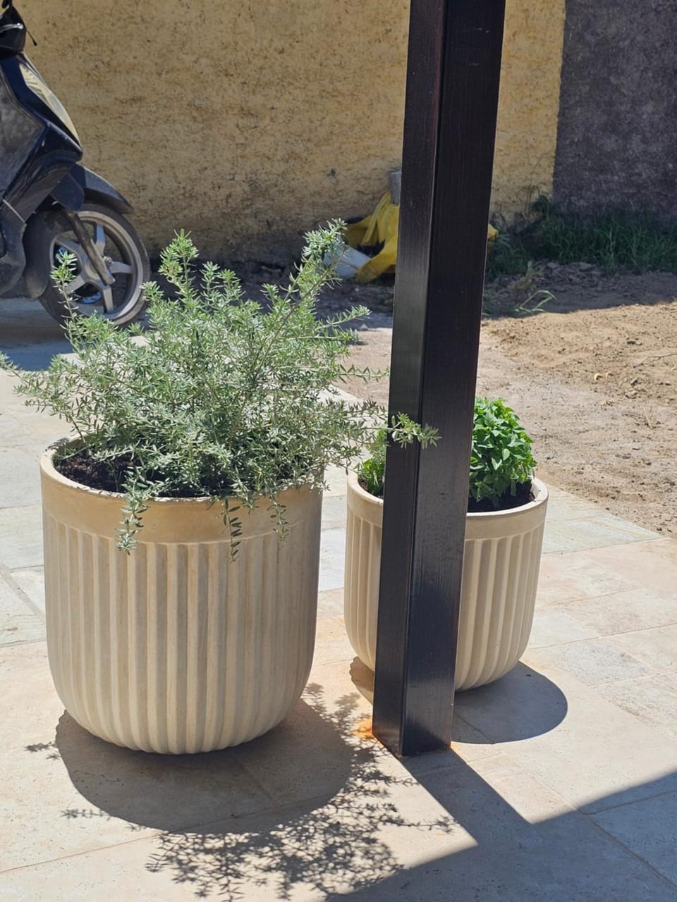 Tiny Cottage lemon & pies House in Peloponnese, Western Greece and the Ionian