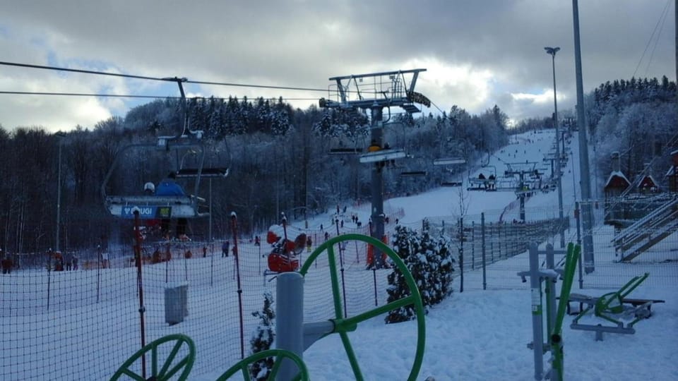 Neighbourhood, Winter, Skiing