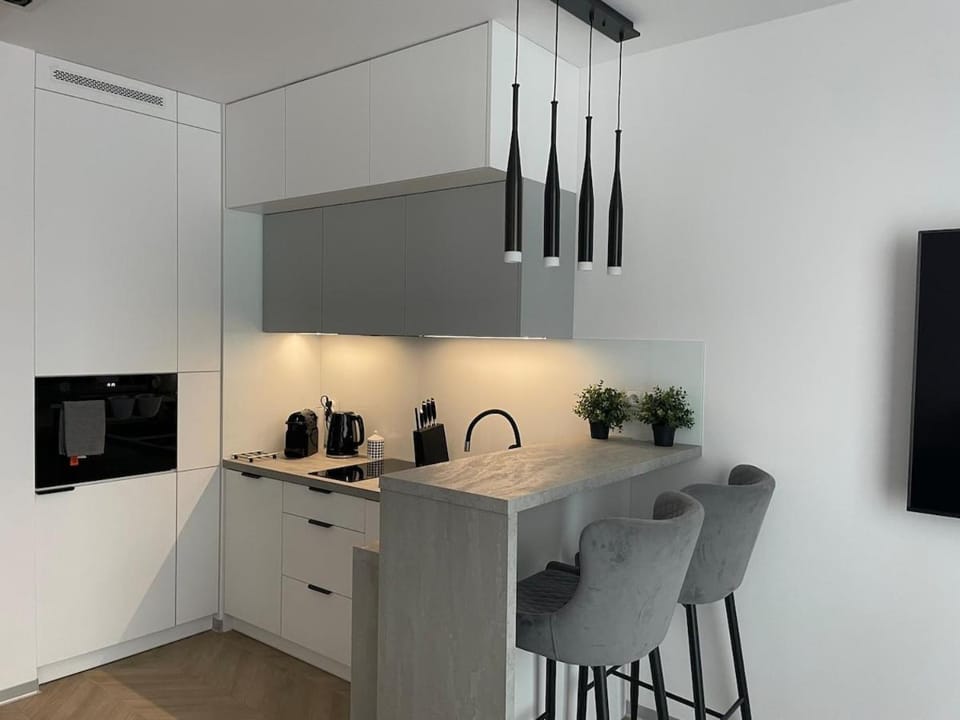 Kitchen or kitchenette, stove, toaster