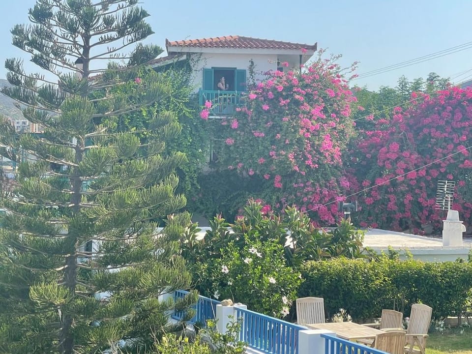 Spring, Garden view