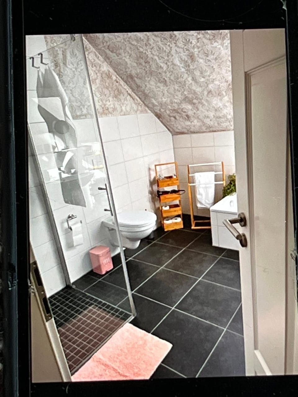 Bathroom, Living room