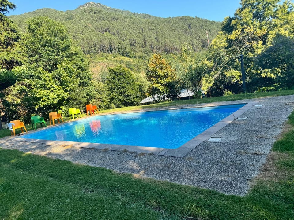 Garden, Swimming pool