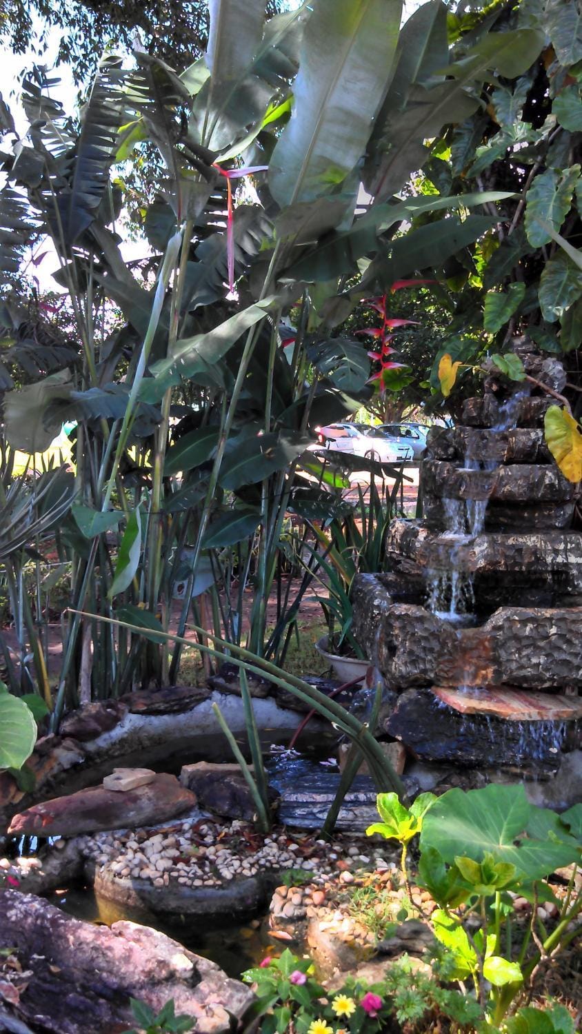 Garden view, Street view