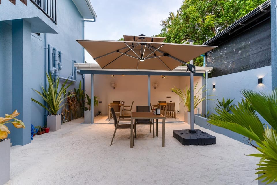 Day, Garden, Garden view