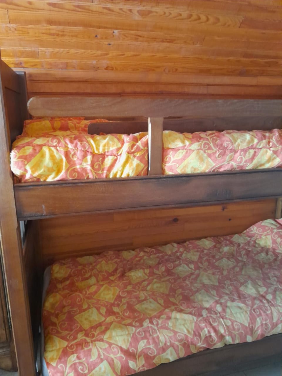 Ruscadet Chalet in Occitanie