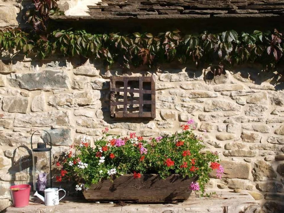 Casa Pirineos (ambos apartamentos) House in Aragon