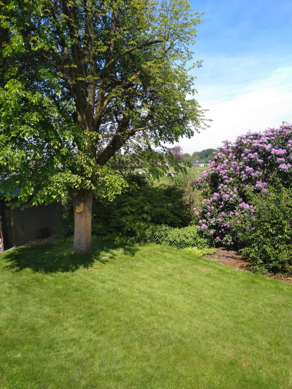 Spring, Day, Garden, Garden, Garden view