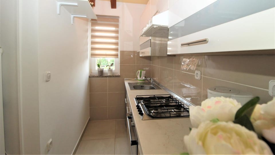 Apartments Brcic Apartment in Istria County