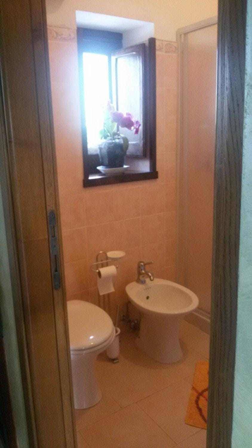 Shower, Toilet, Bathroom, bidet