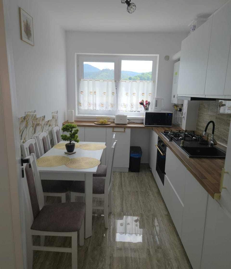 Kitchen or kitchenette, Dining area, dishwasher, oven, stove