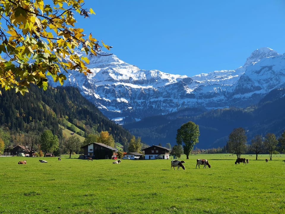 Natural landscape, Mountain view