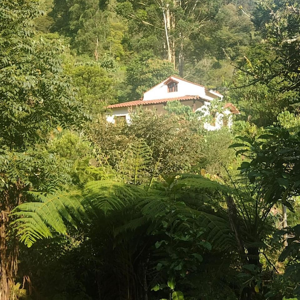 Casa Calandria - Vive Jardin House in Caldas, Colombia