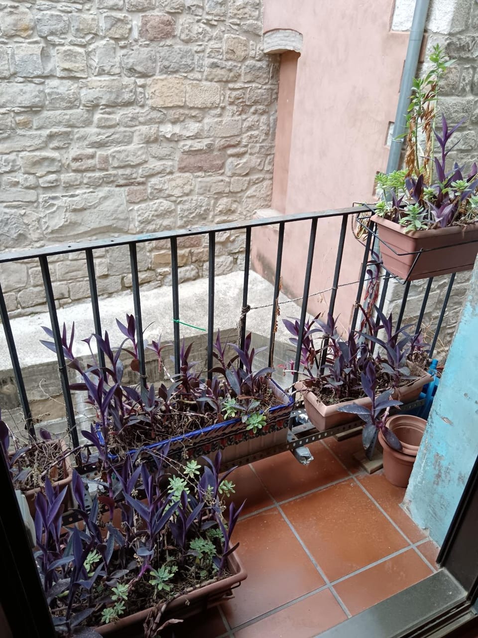 Ca la Fiona Apartment in Catalonia