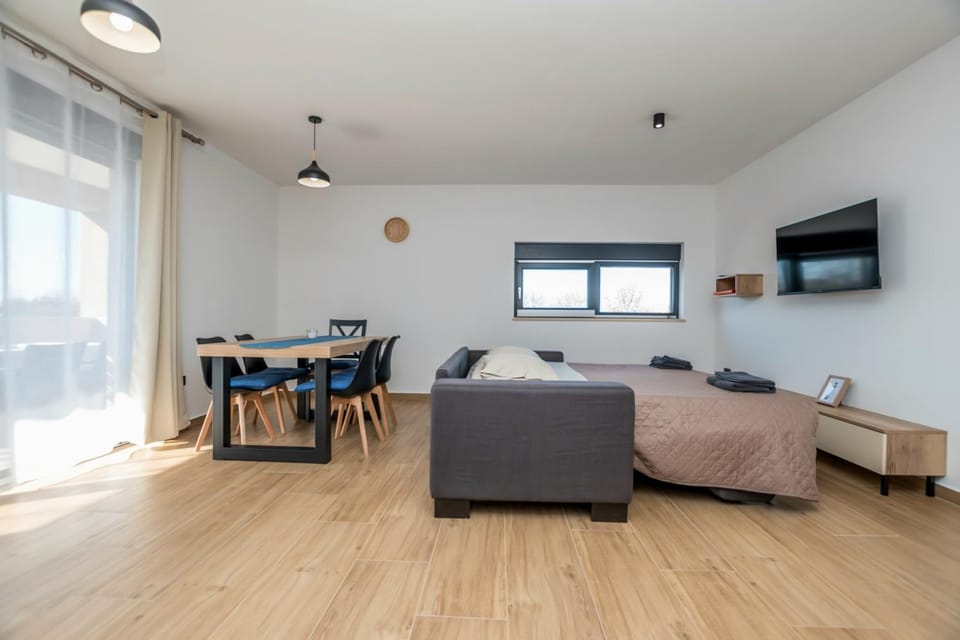 Bed, TV and multimedia, Living room, Photo of the whole room, Seating area, Dining area, Bedroom